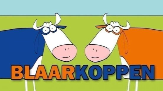 Blaarkoppen willen ook wel eens veilig de stad in